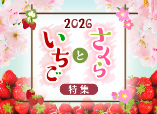 2026年　さくらといちご特集